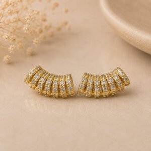 ARETES EAR HOOK